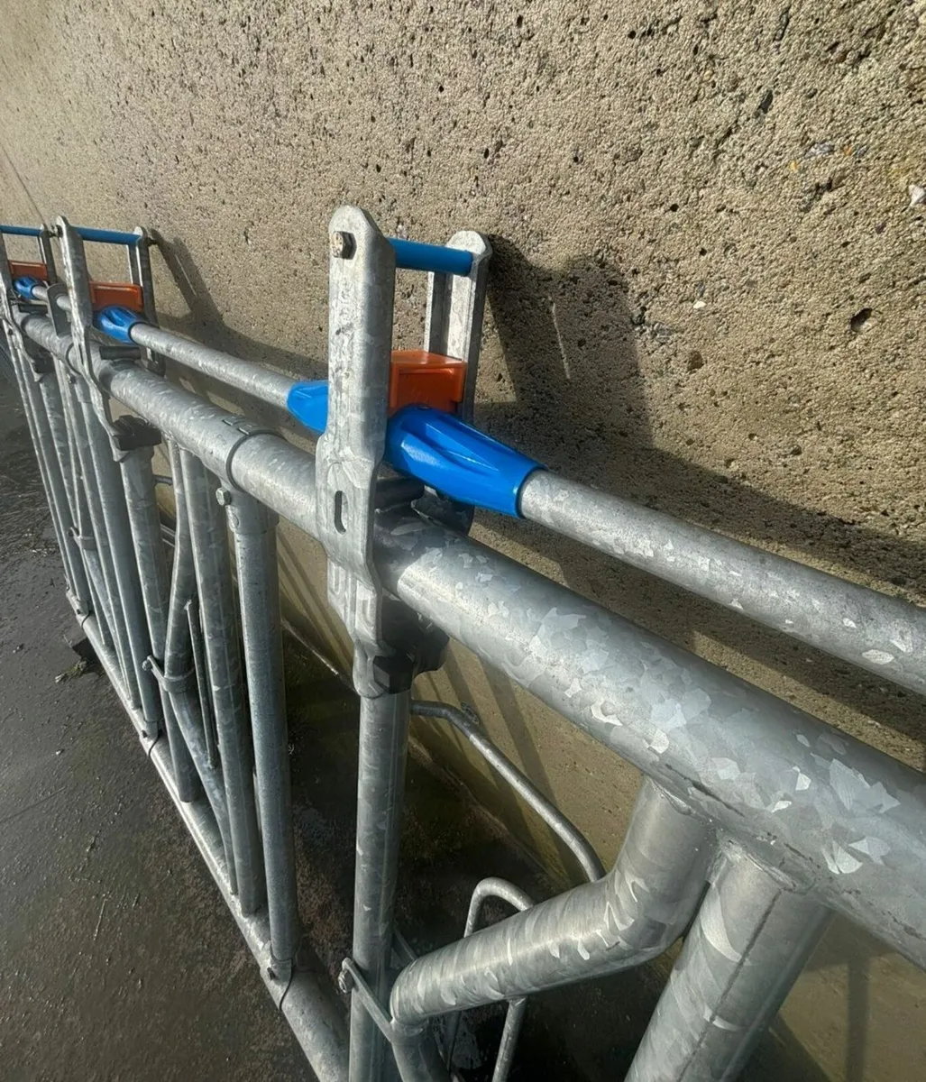 Headlock fedding barrier & Calving gate - Image 2