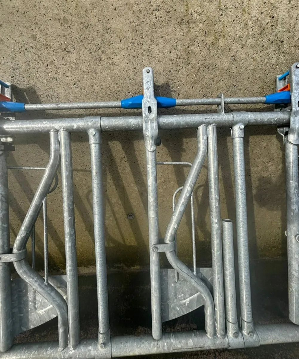 Headlock fedding barrier & Calving gate - Image 4