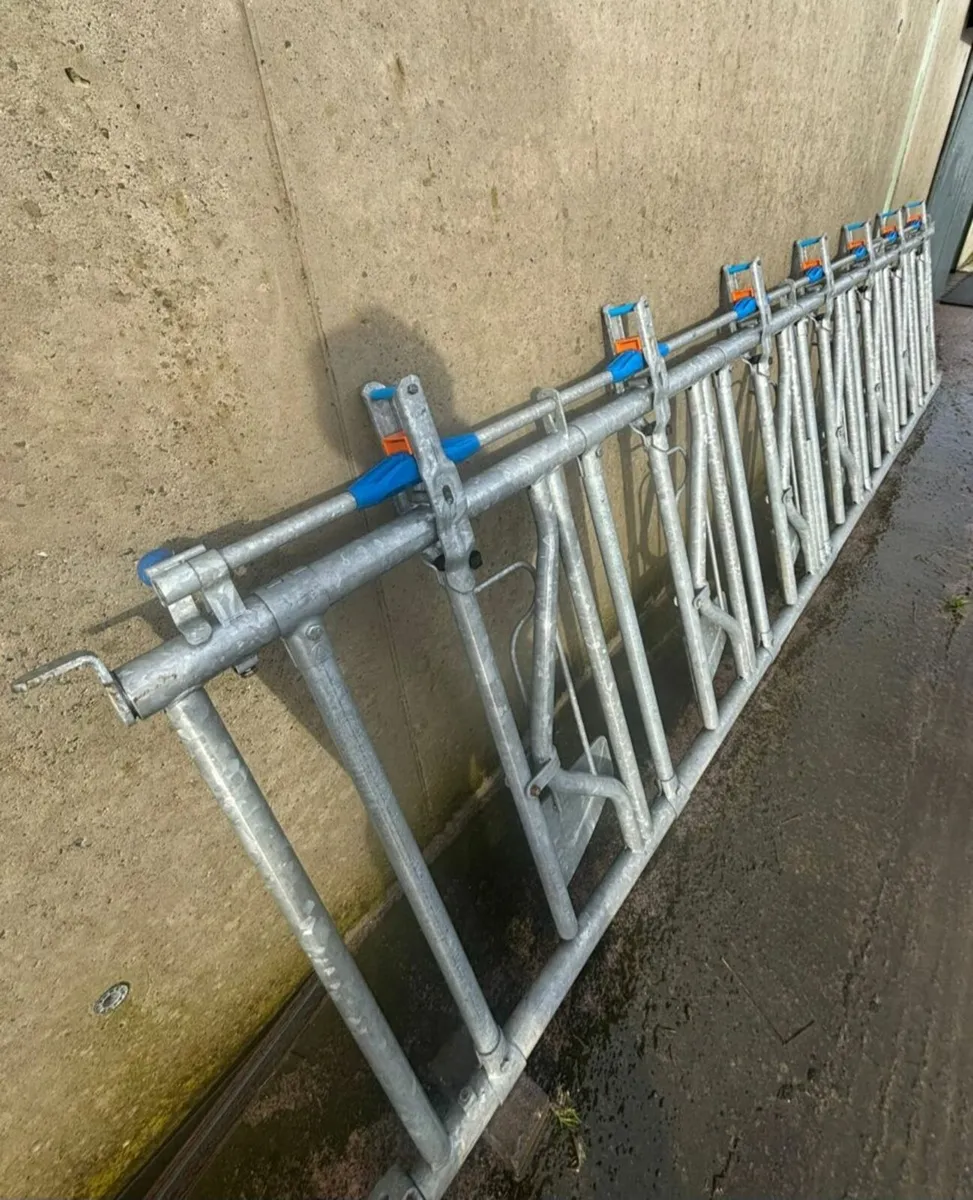 Headlock fedding barrier & Calving gate - Image 3