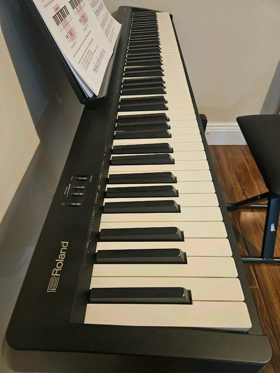 Roland FP-10 - Image 1