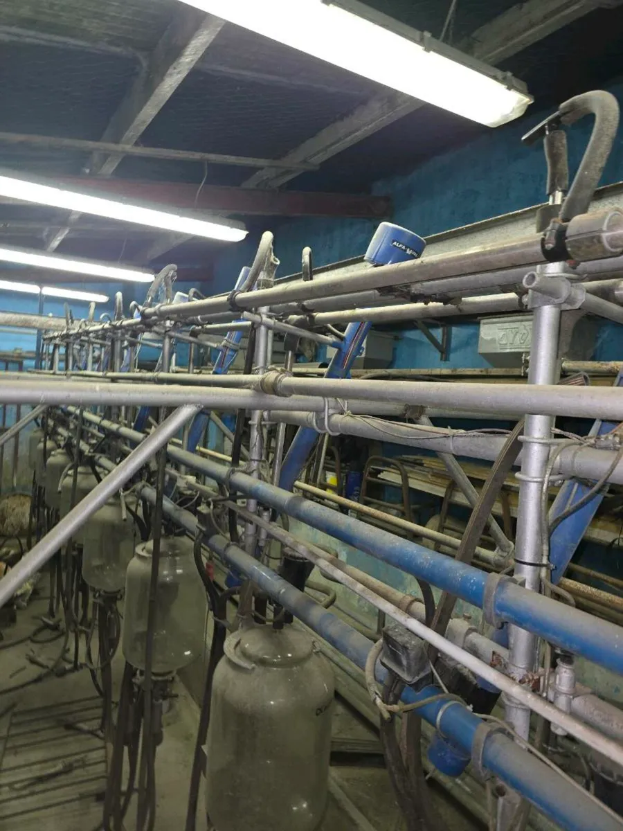 Milking parlour - Image 1