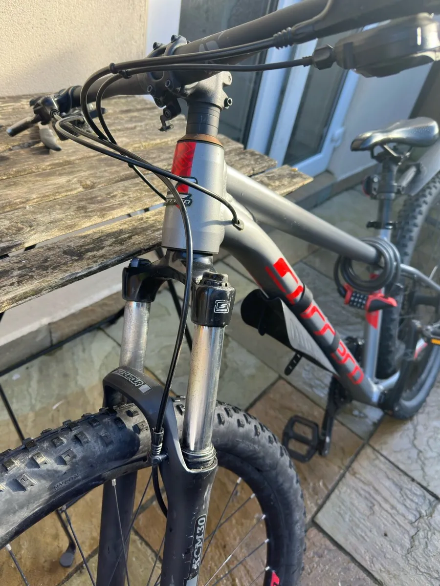 Carrera bike - Image 3