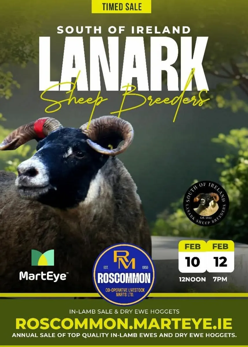 Lanark Female Sale Online - Image 1