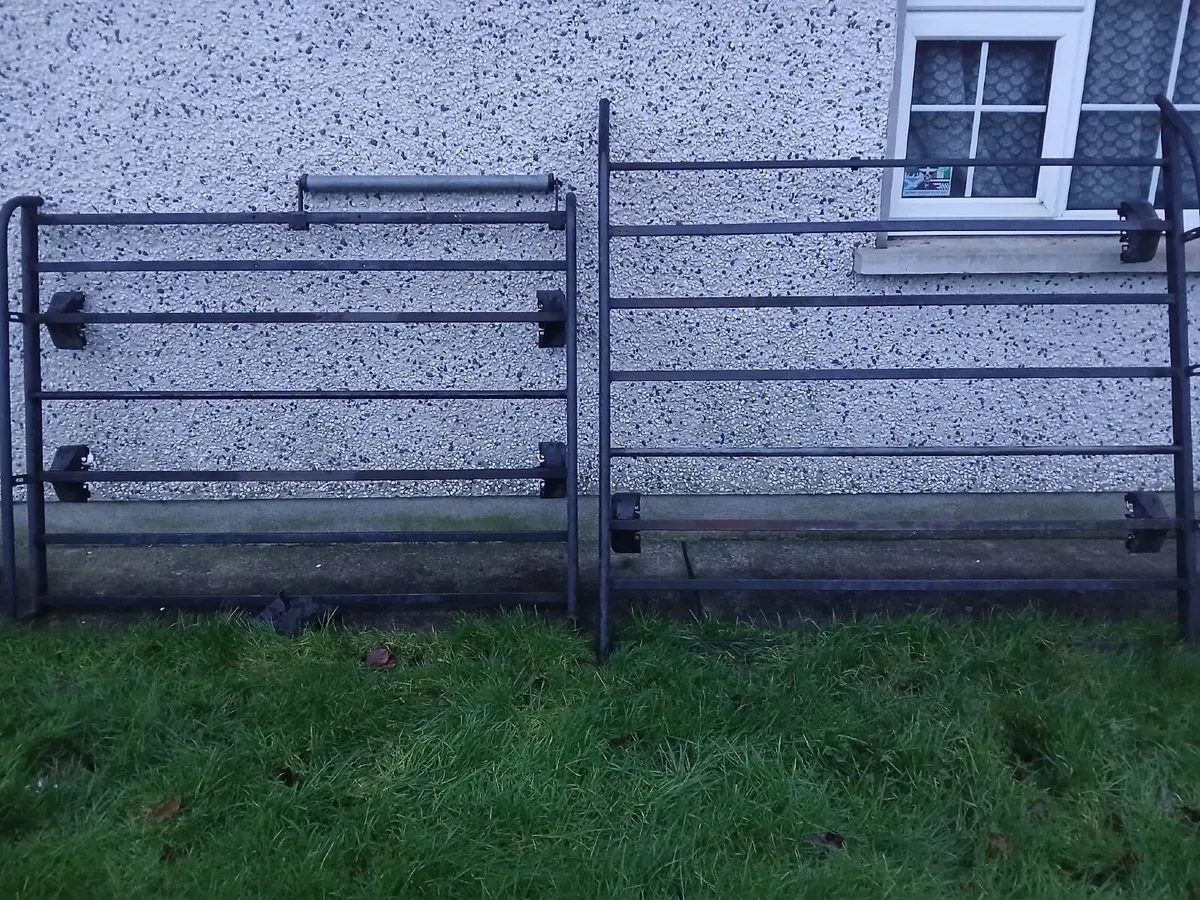 Renault Trafic 2014 - Image 4