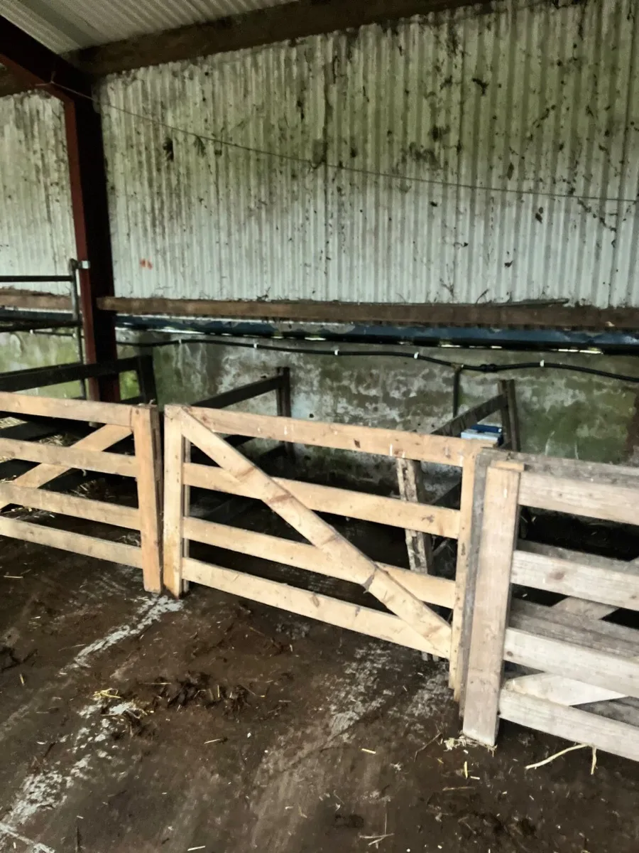 Lambing Pens - Image 1