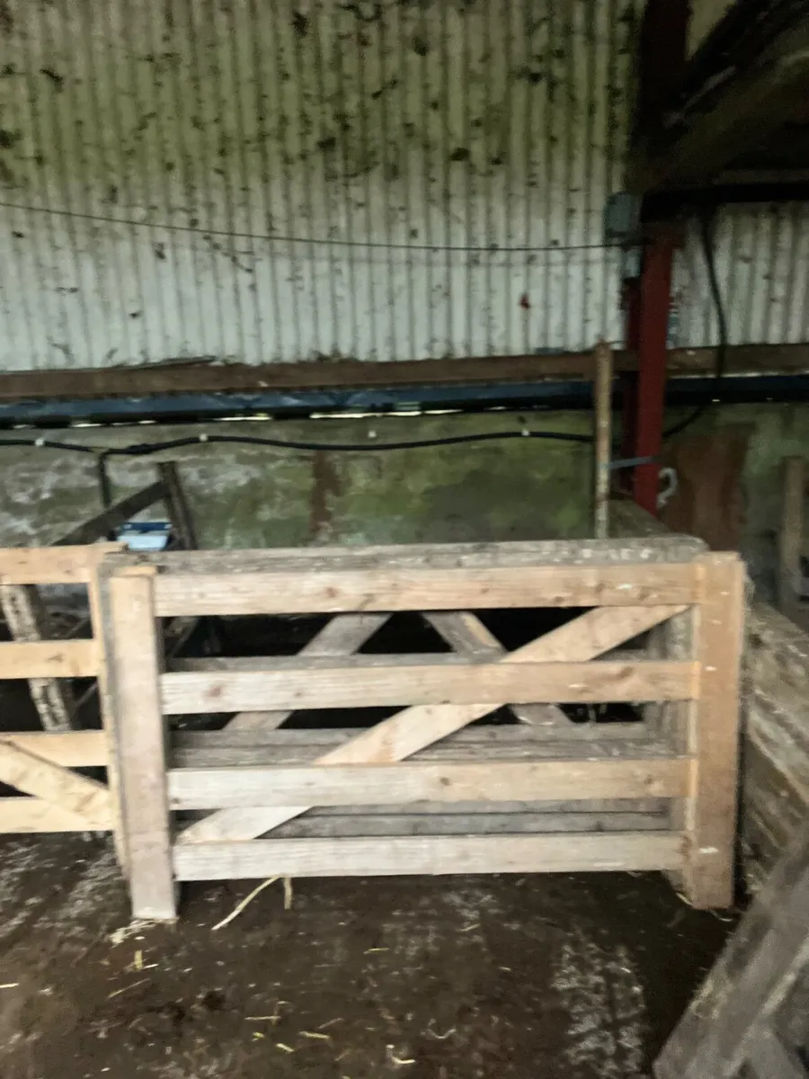 Lambing Pens - Image 2