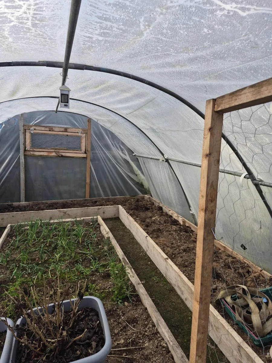 Polytunnel - Image 3