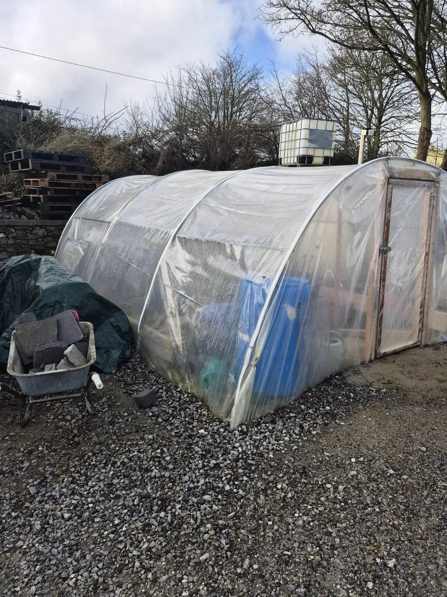 Polytunnel - Image 4