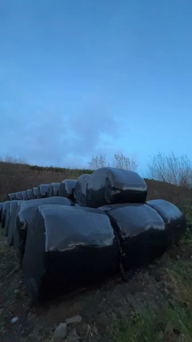 Silage bales - Image 2