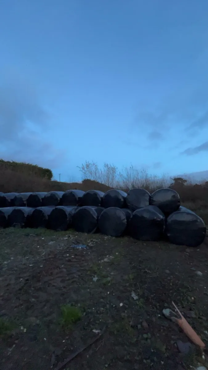 Silage bales - Image 3