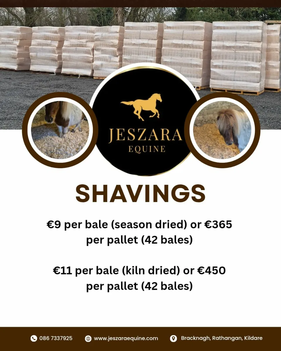 *** SHAVINGS *** SHAVINGS *** SHAVINGS *** - Image 1