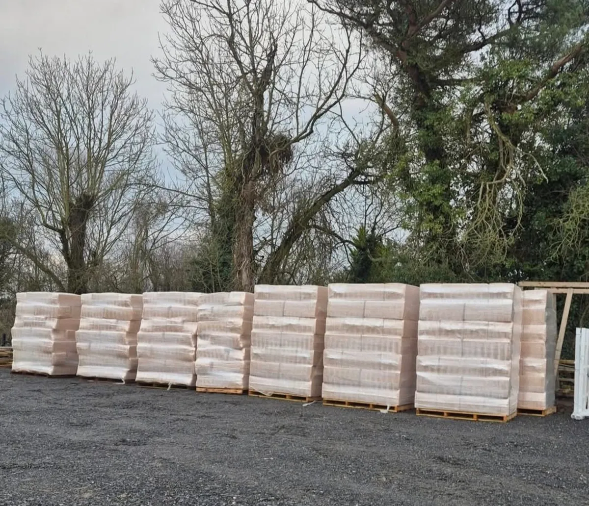 *** SHAVINGS *** SHAVINGS *** SHAVINGS *** - Image 2