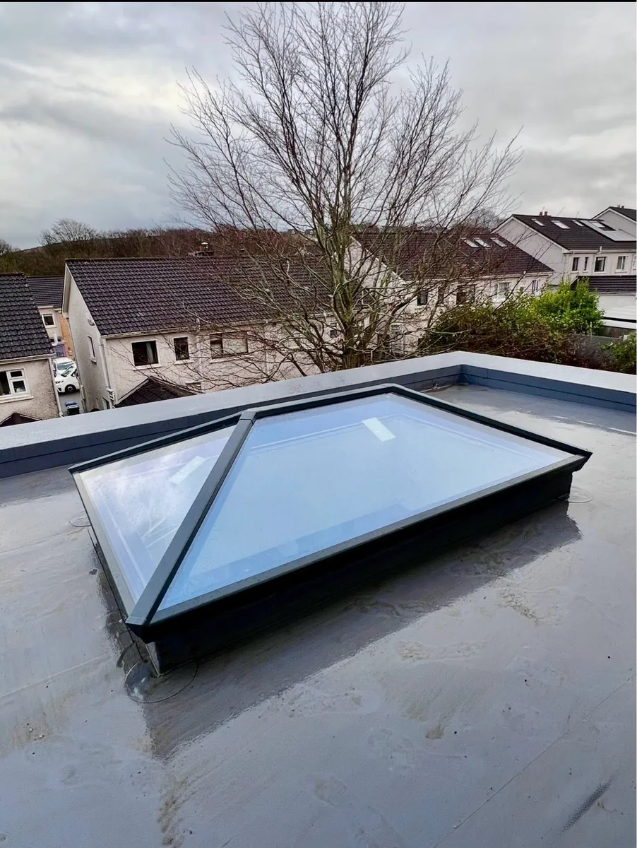 Roof / Sky Light - Image 1
