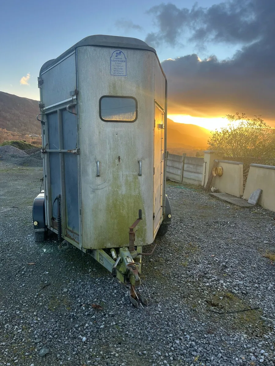 Horse box project - Image 1