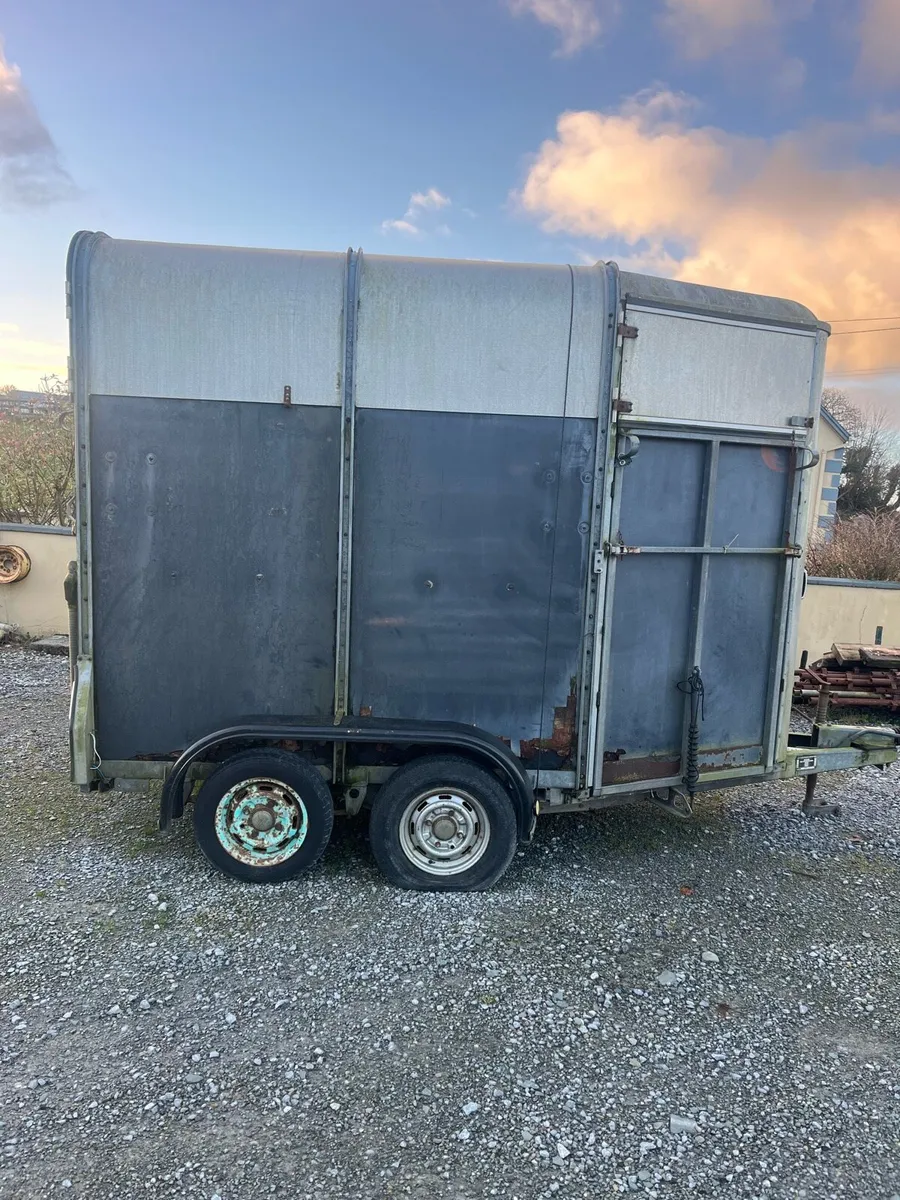 Horse box project - Image 2