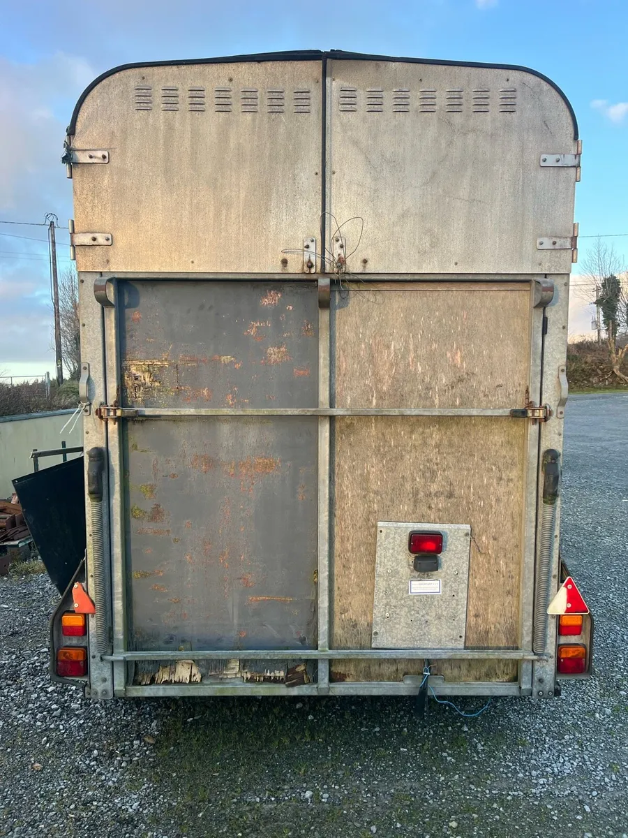 Horse box project - Image 3