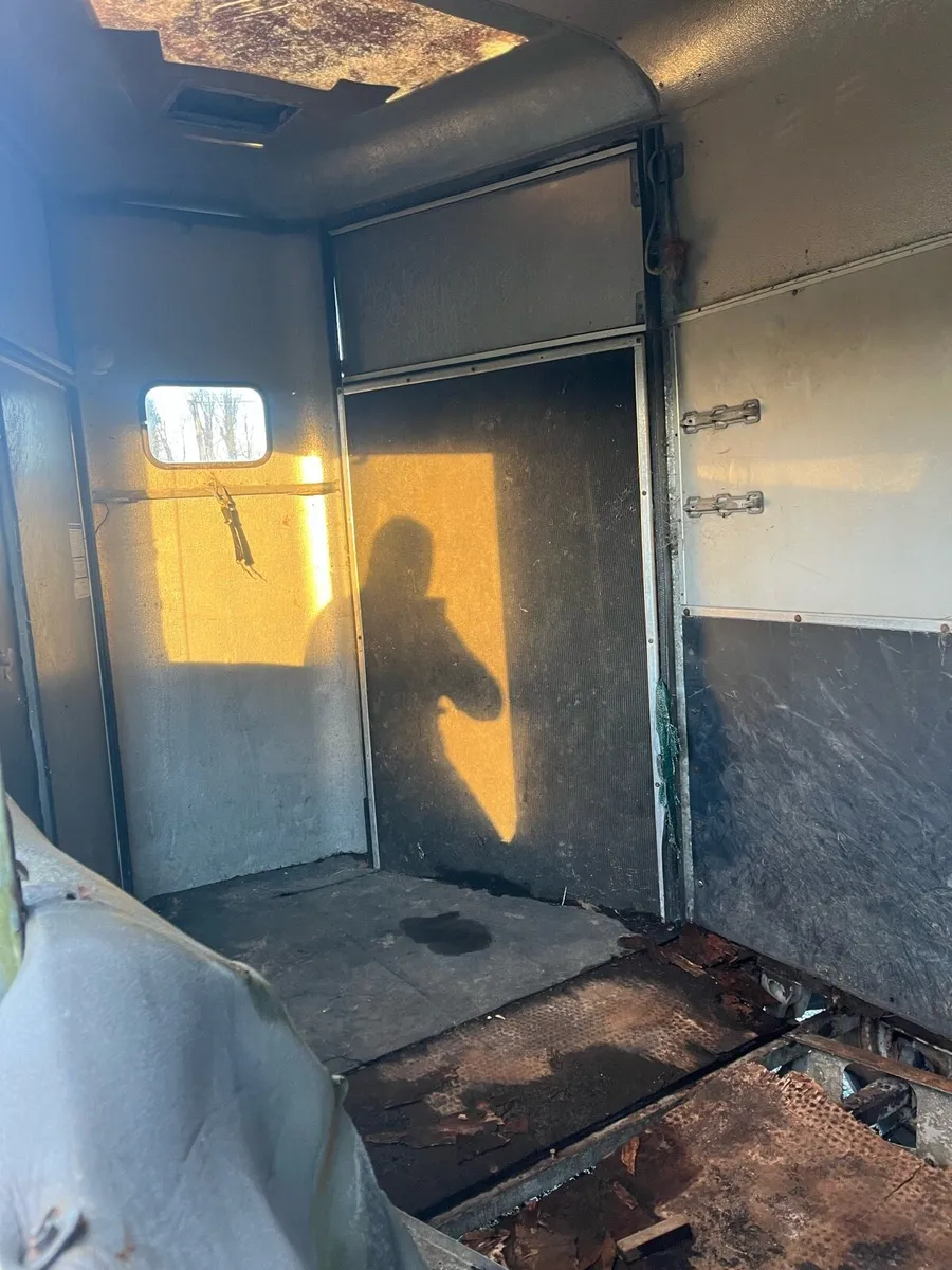 Horse box project - Image 4