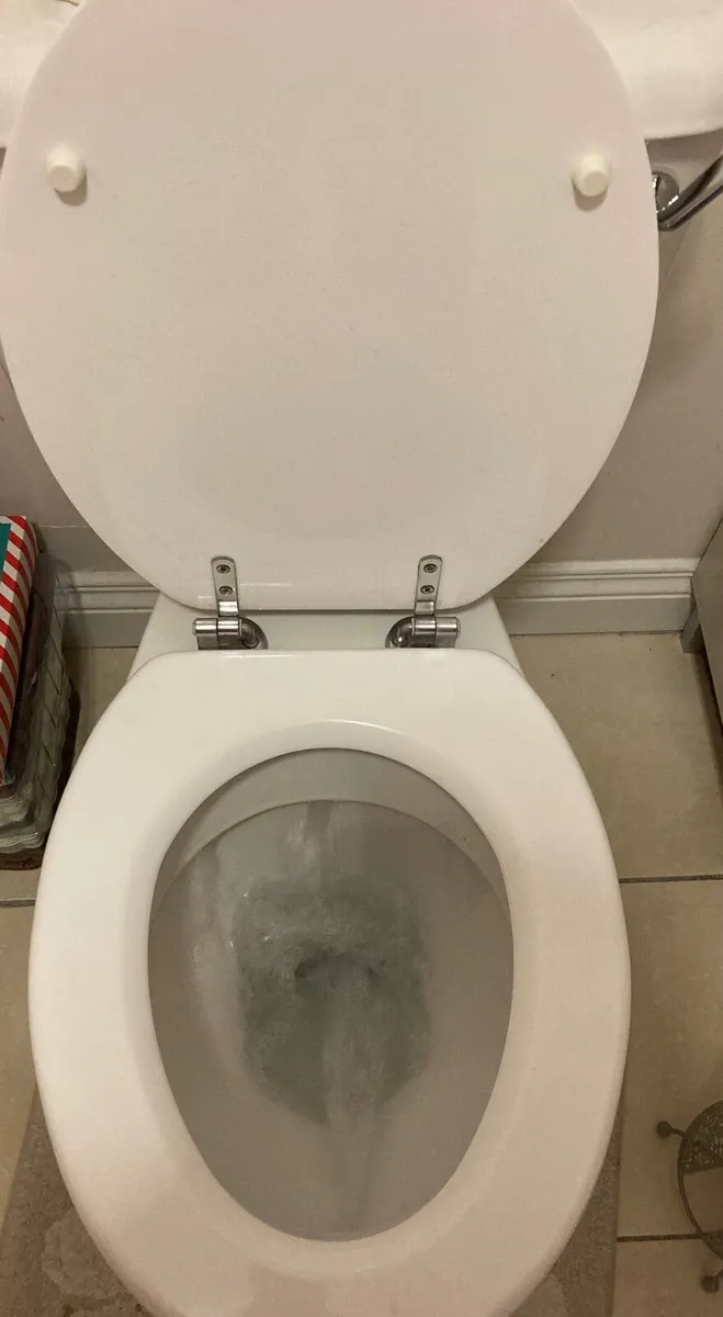Toilet seat - Image 1