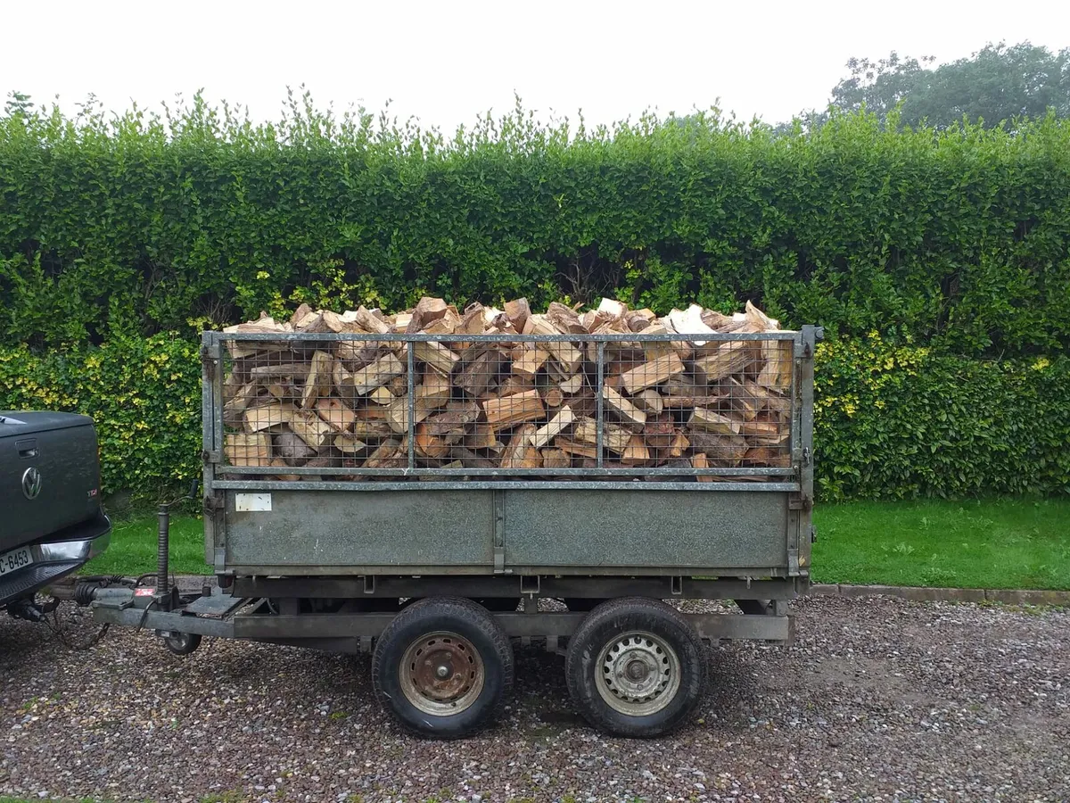 Dry Firewood Cork - Image 1