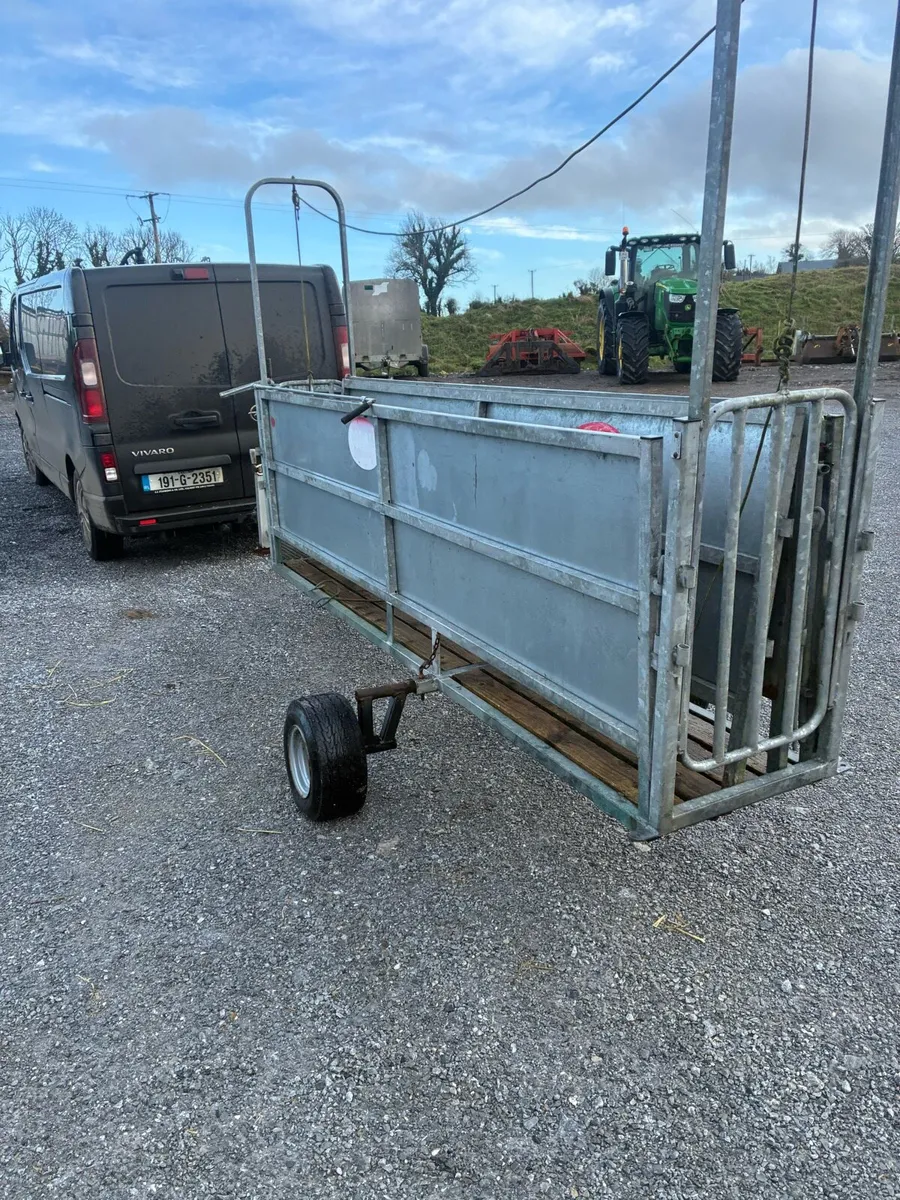 Sheep race - Image 3