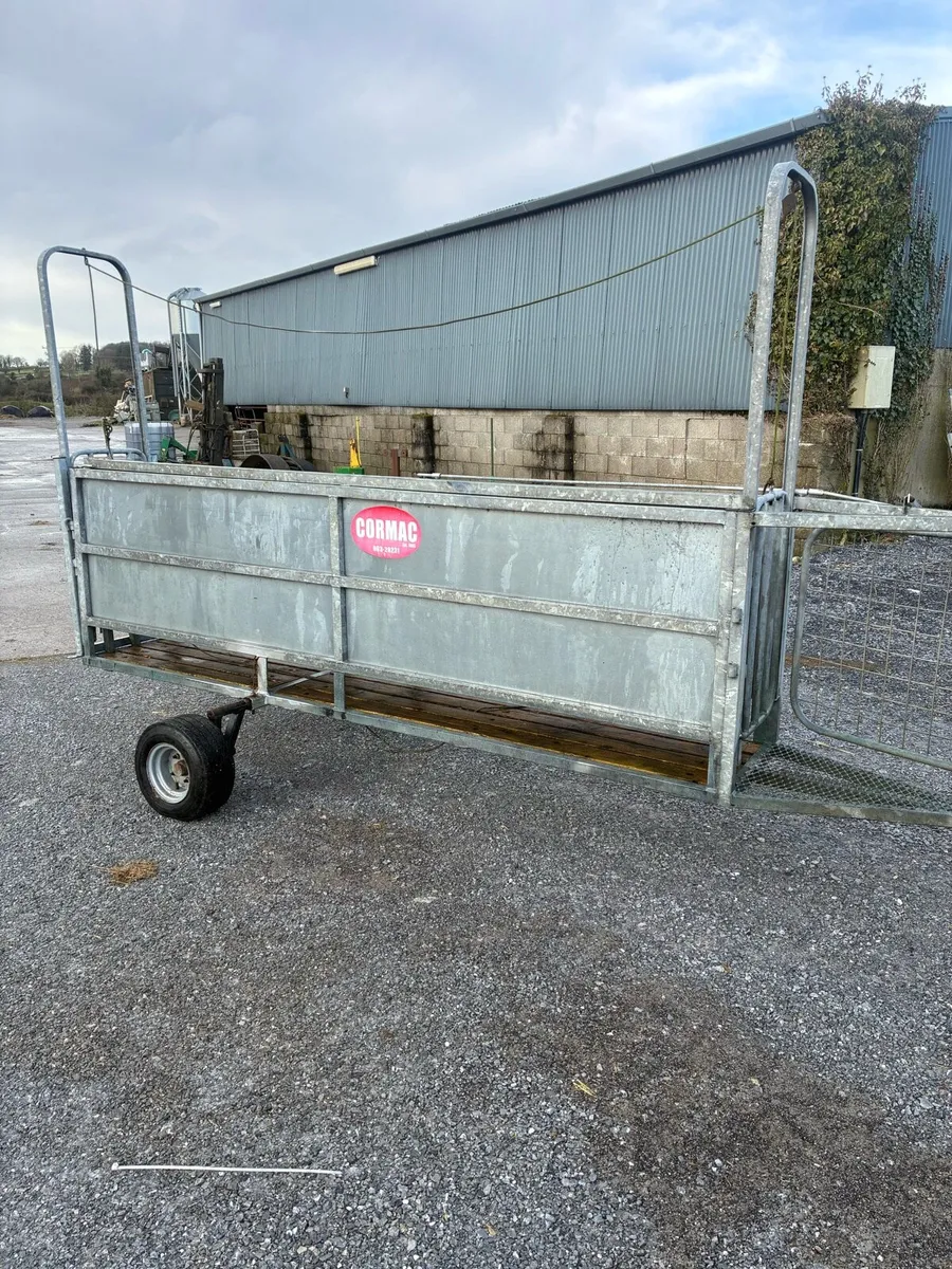 Sheep race - Image 1