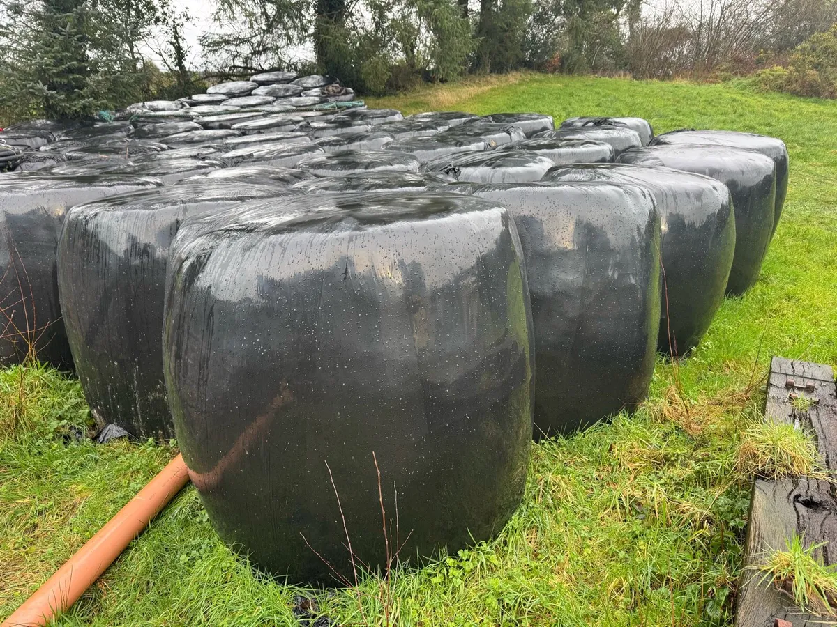 Silage Bales - Image 2