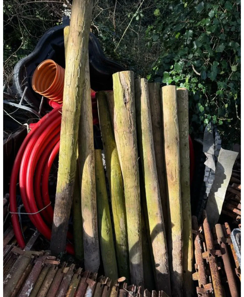 Heavy Duty Treated Wooden Stakes 5-6" wide - Image 1