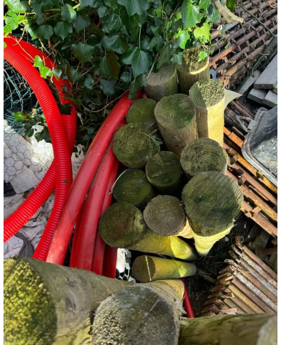 Heavy Duty Treated Wooden Stakes 5-6" wide - Image 2