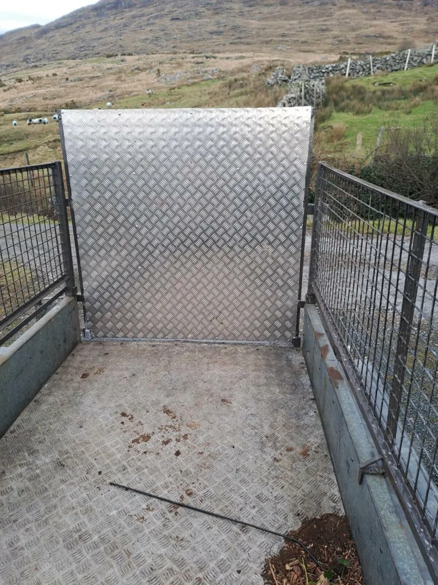 Murphy (kerry ) builders 8 ft 2 x 4ft 2 - Image 4