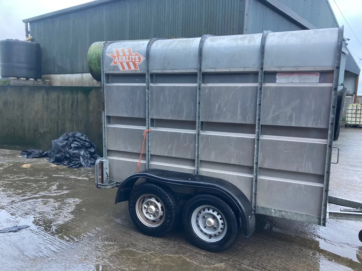 Murphy 2cow car trailer - Image 2