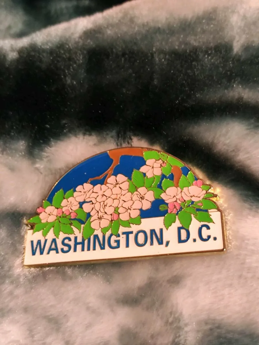 Washington D.C. Cherry Blossom Souvenir Pin - Image 1