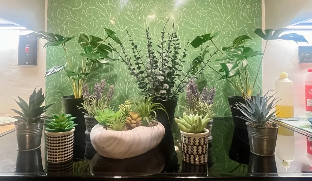 Arrificial plants - Image 2