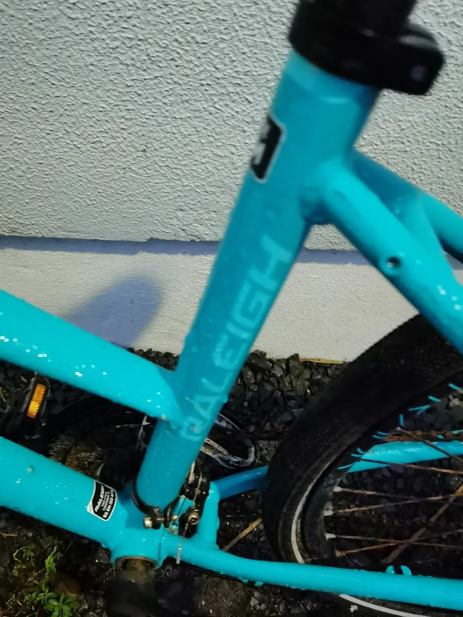 Raleigh bike - Image 3