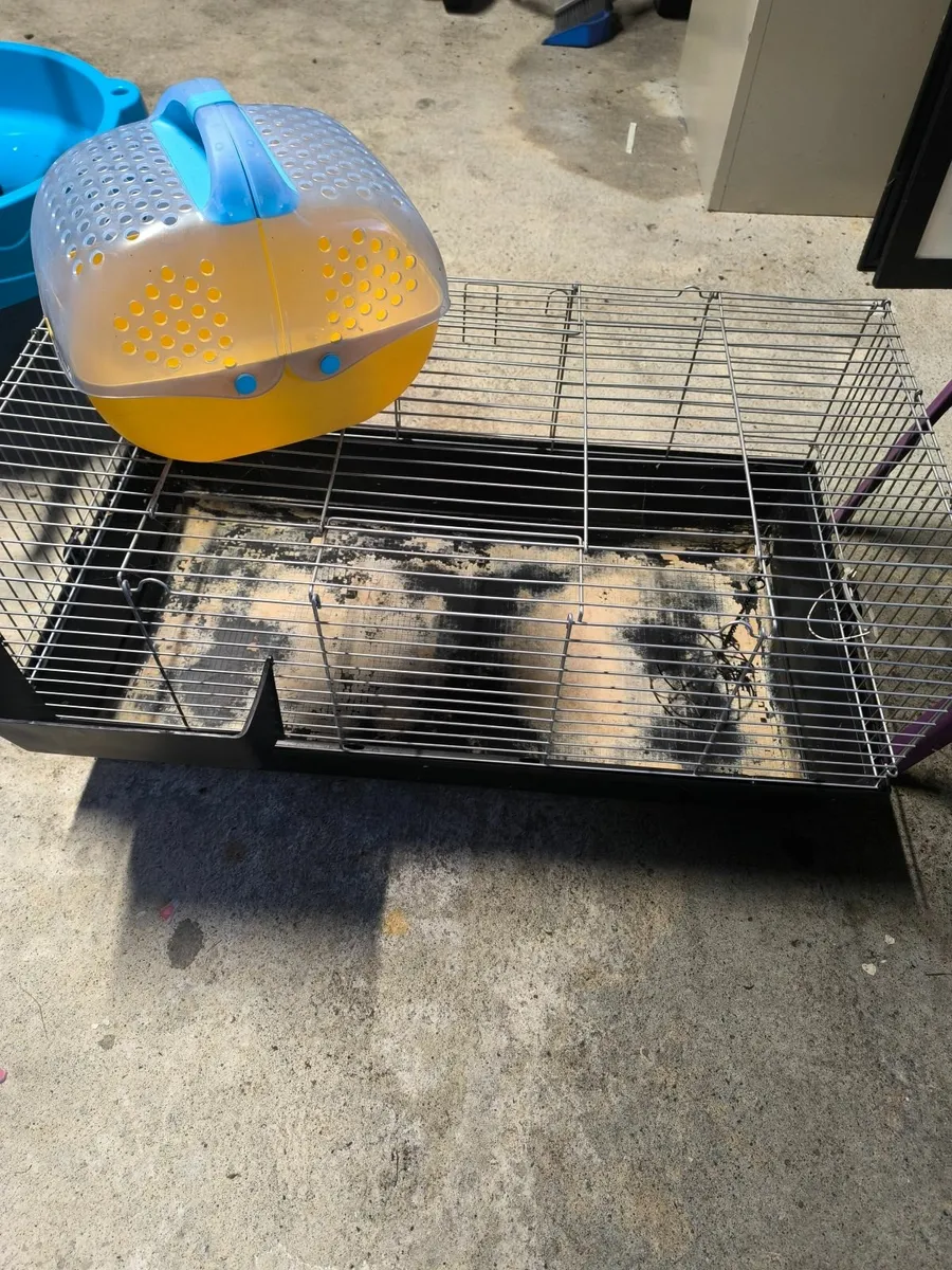 Pet cage and accessories - Image 1