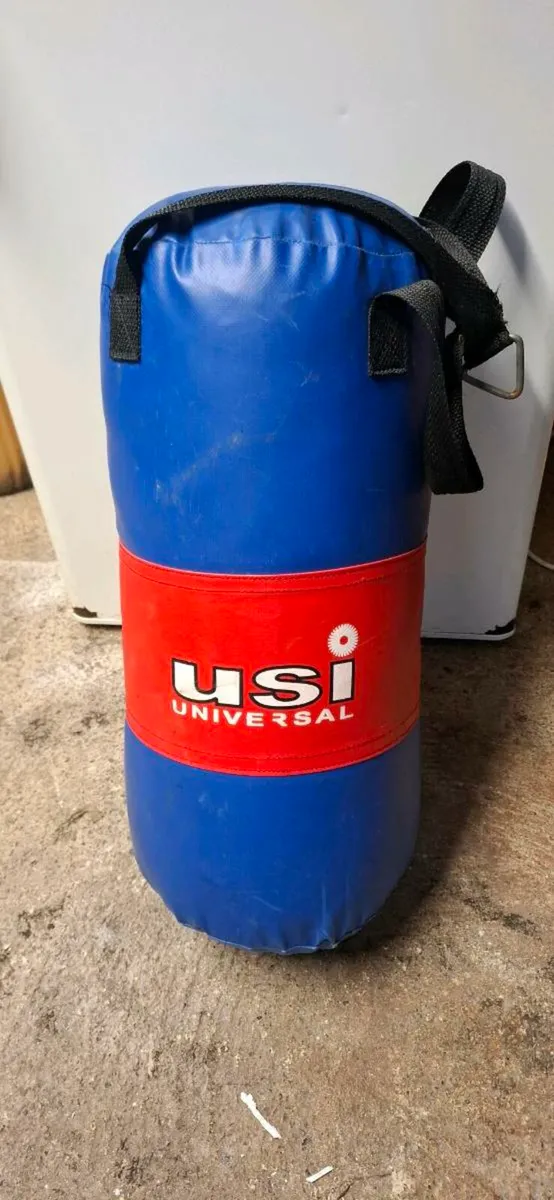 Punch bag - Image 1