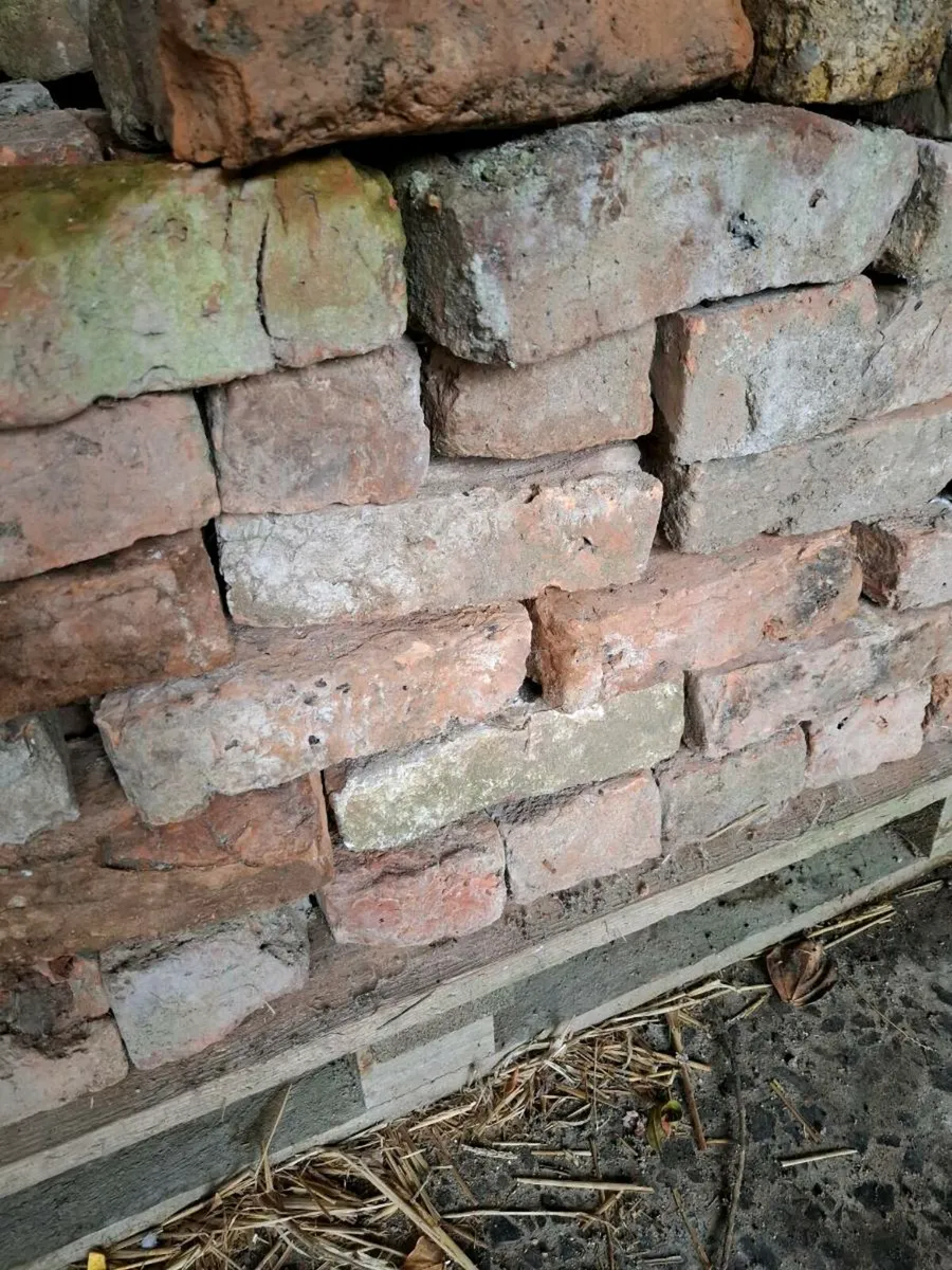 Bricks - Image 1