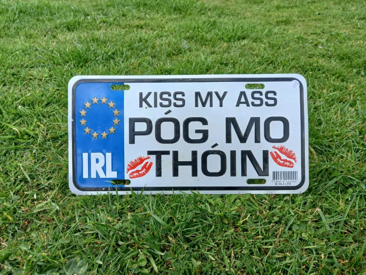 Novelty Licence Plate - Image 1