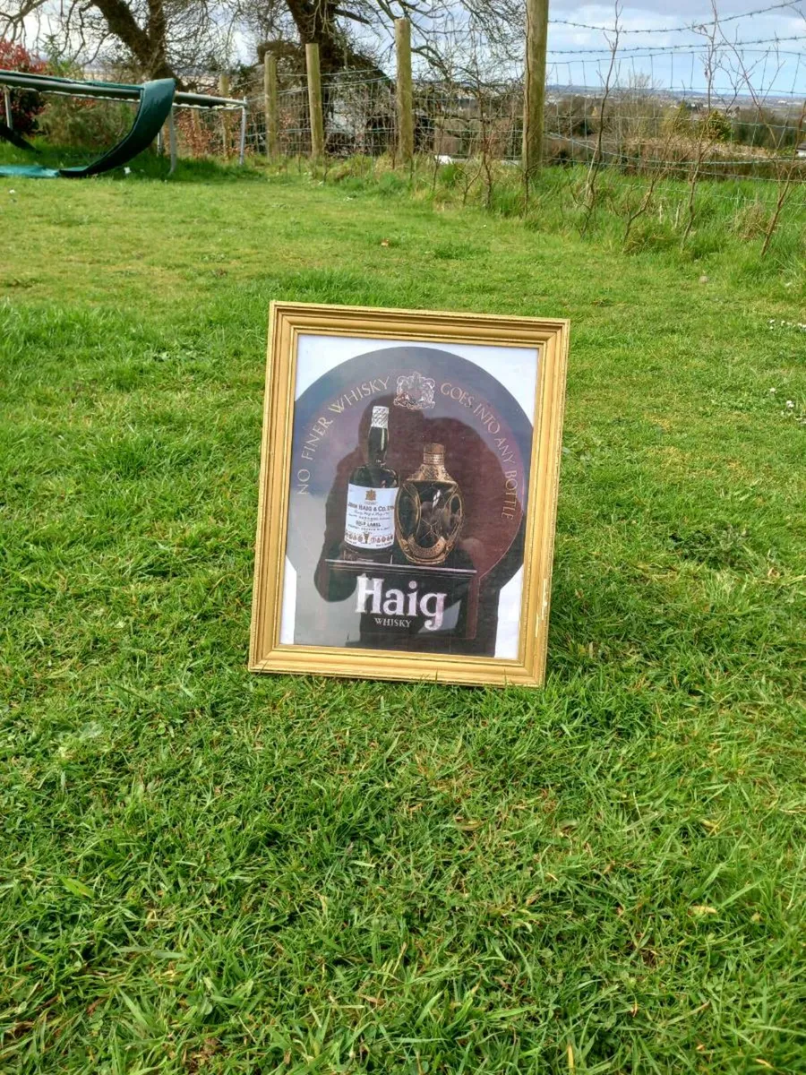 Haig Whisky Advert - Image 2