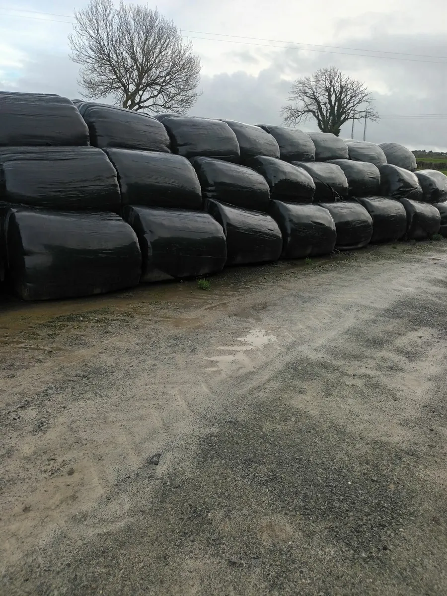 Silage bales - Image 2