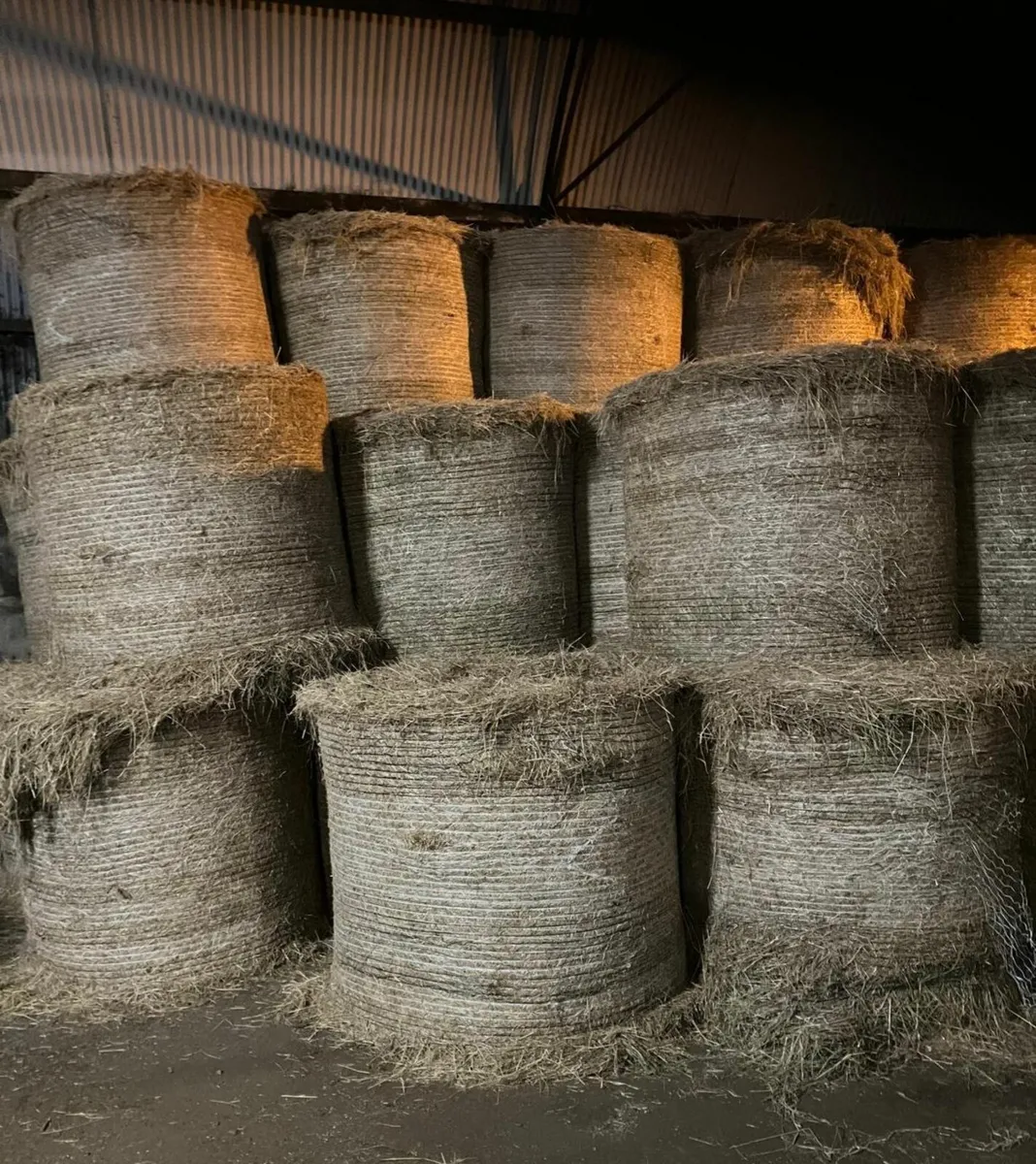 Silage and Hay Round Bales - Image 2