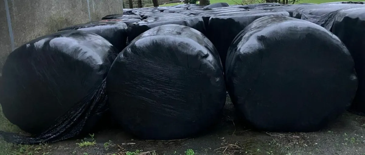 Silage and Hay Round Bales - Image 3