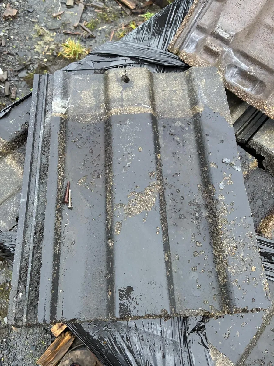 Roof tiles - Image 2