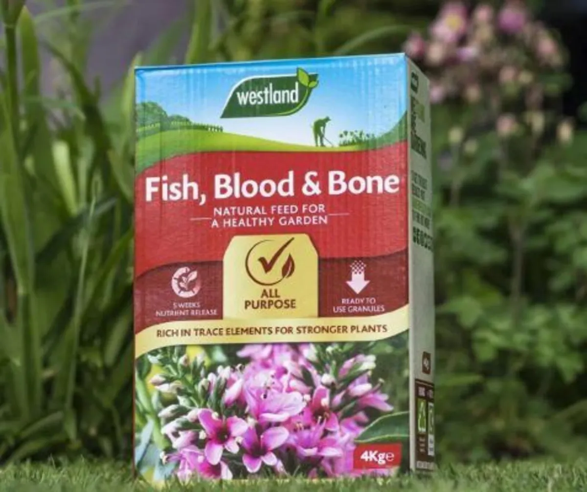 Westland Fish, Blood and Bone