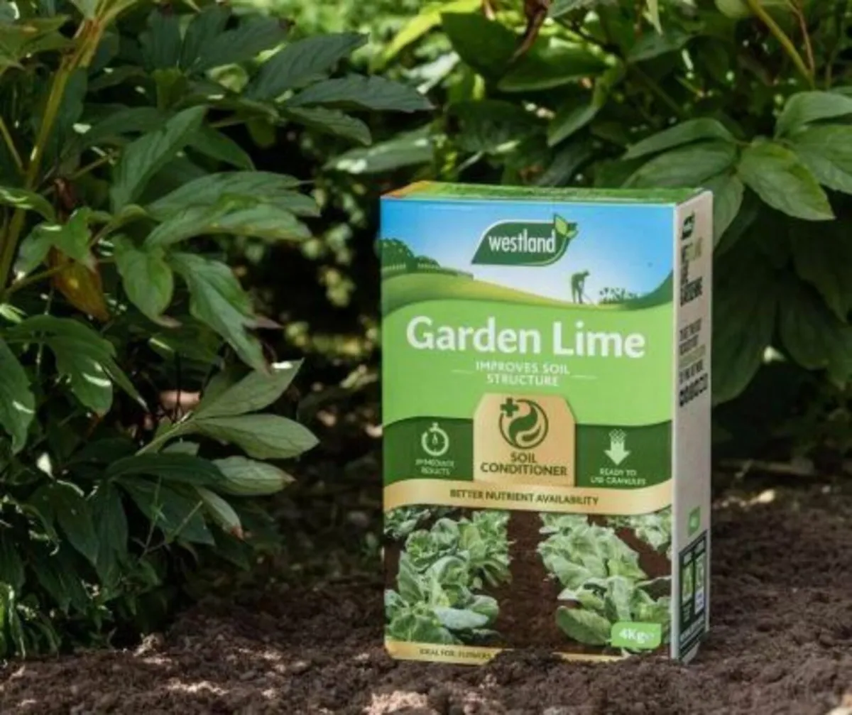 Fertilsers Westland Garden Lime - Image 1