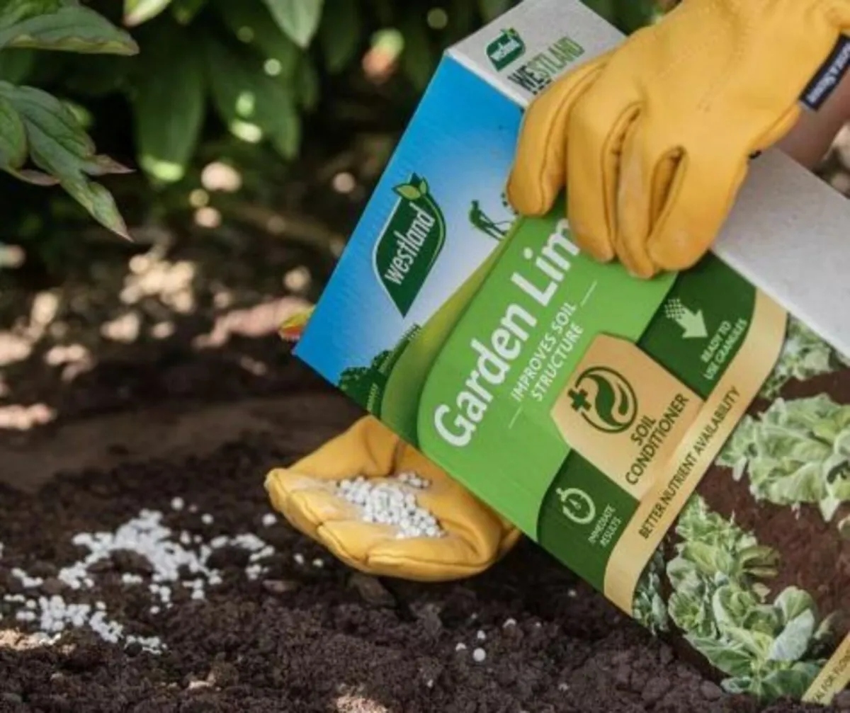 Fertilsers Westland Garden Lime - Image 2