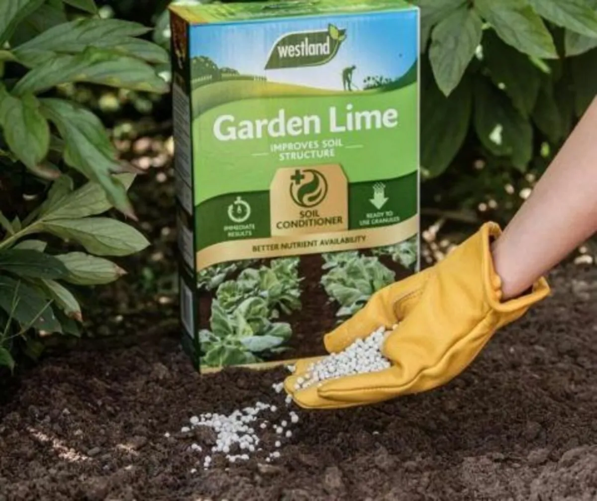 Fertilsers Westland Garden Lime - Image 3