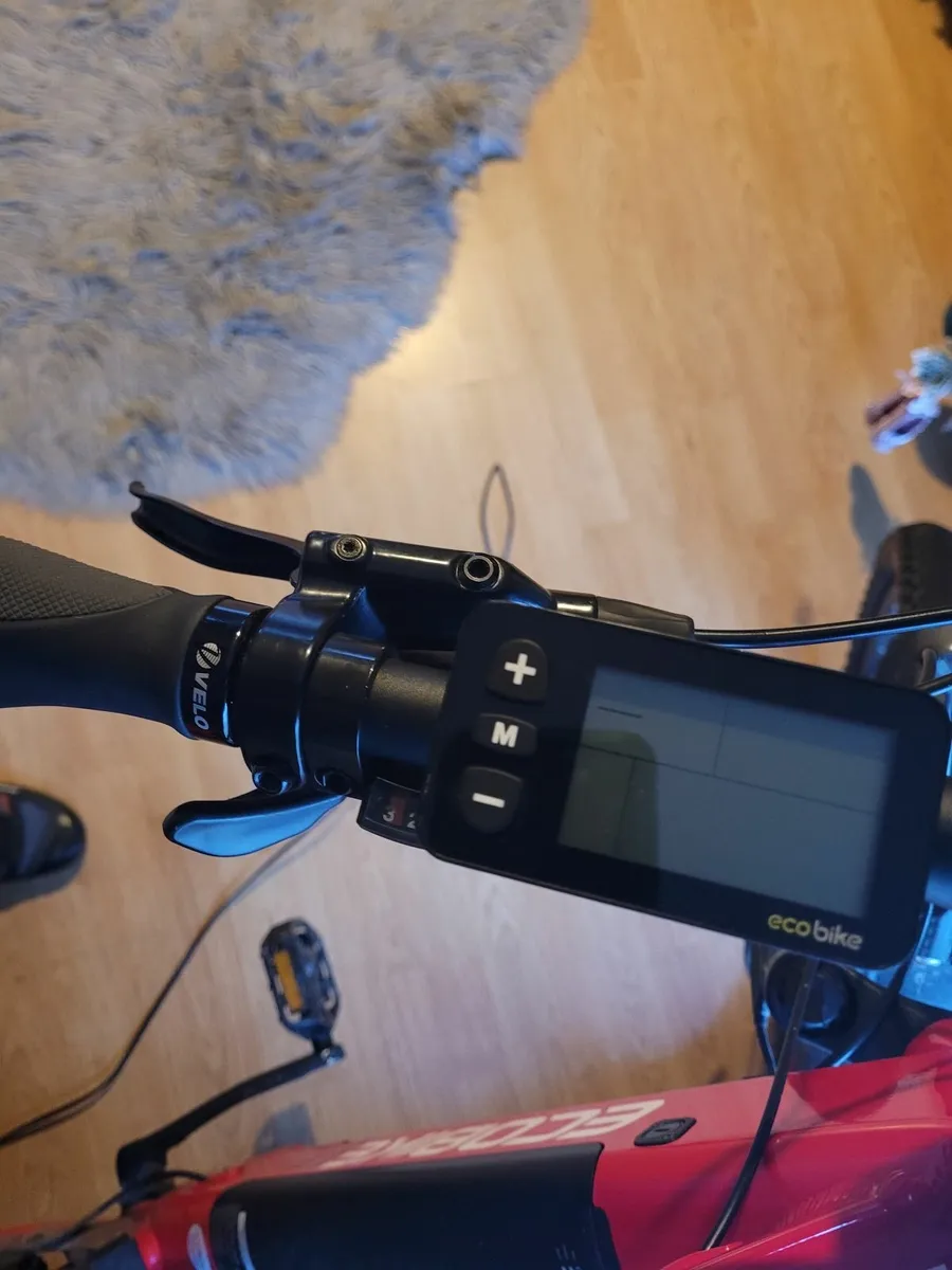 Ecobike sx4 - Image 2