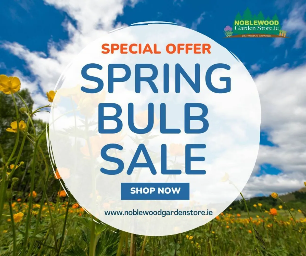 Bulbs,Plants & Shrubs / Spring - SALE - Image 1