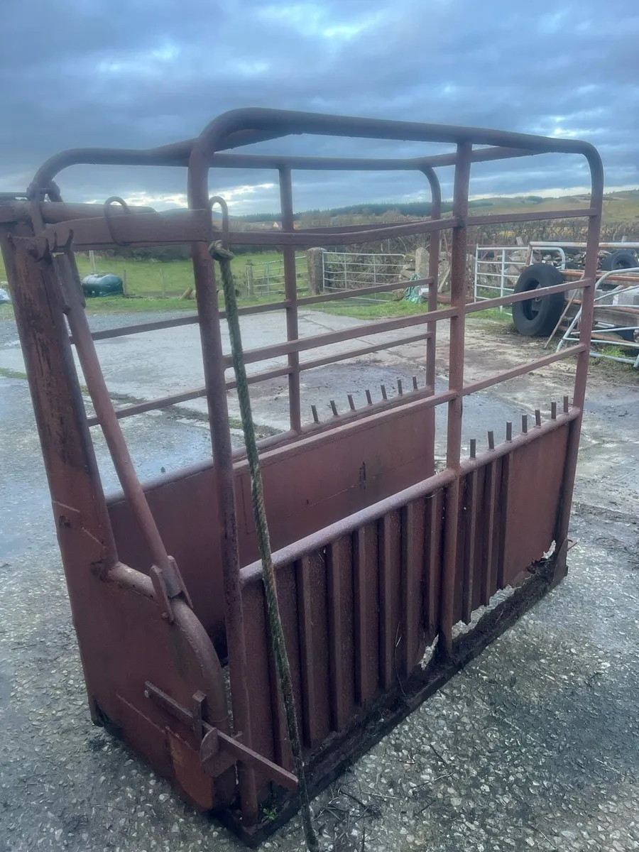 Cattle crush - Image 1