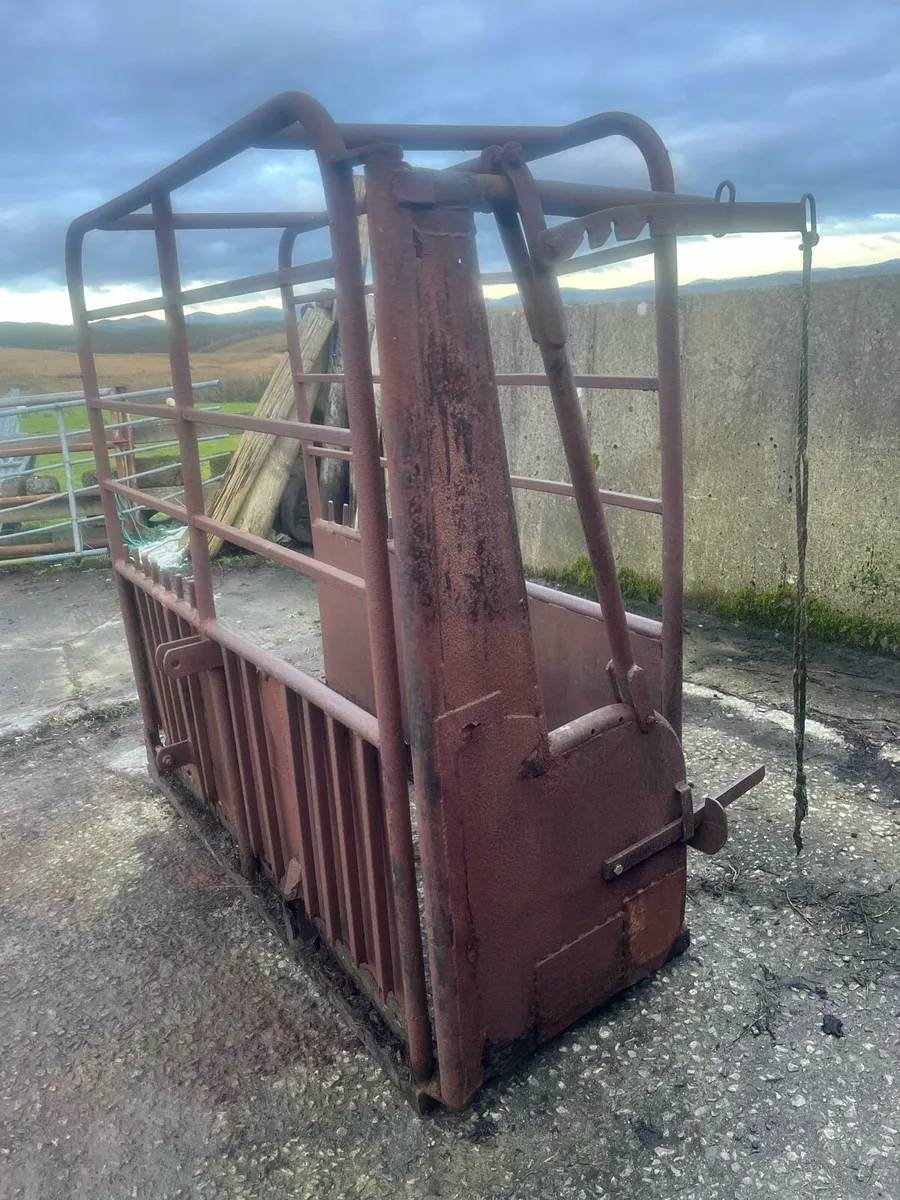 Cattle crush - Image 2